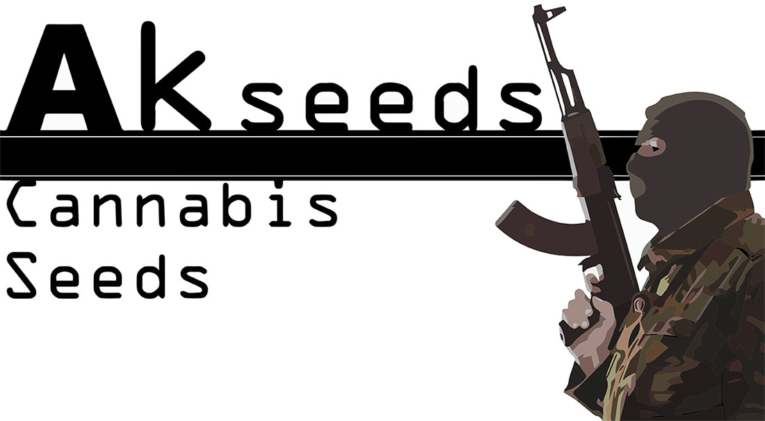 marihuana samen, marihuanasamen, hanfsamen, cannabis seeds, weed, hanf, gras, akseeds